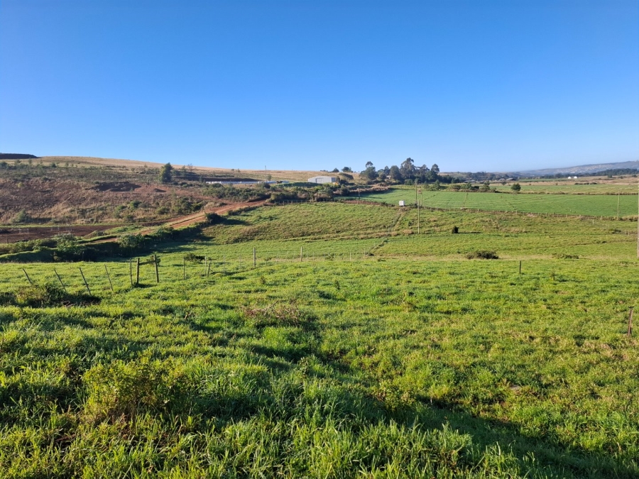 6 Bedroom Property for Sale in Riversdale Rural Western Cape
